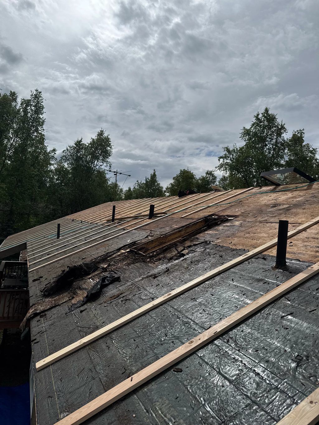A partially installed metal roof on a house in a wooded rural setting.