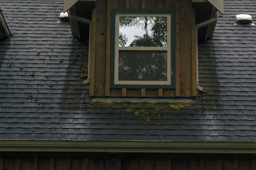Hunter Green Interlock Slate aluminum roof on a modern home with a metal roof in a forested rural setting, Langley, British Columbia
