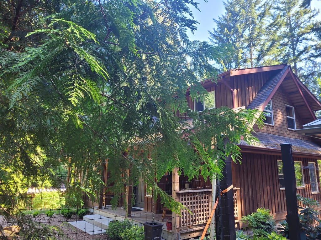 Before: a worn out asphalt shingle roof on the home, Gabriola Island, British Columbia, ahead of a Deep Charcoal Interlock Slate aluminum roof