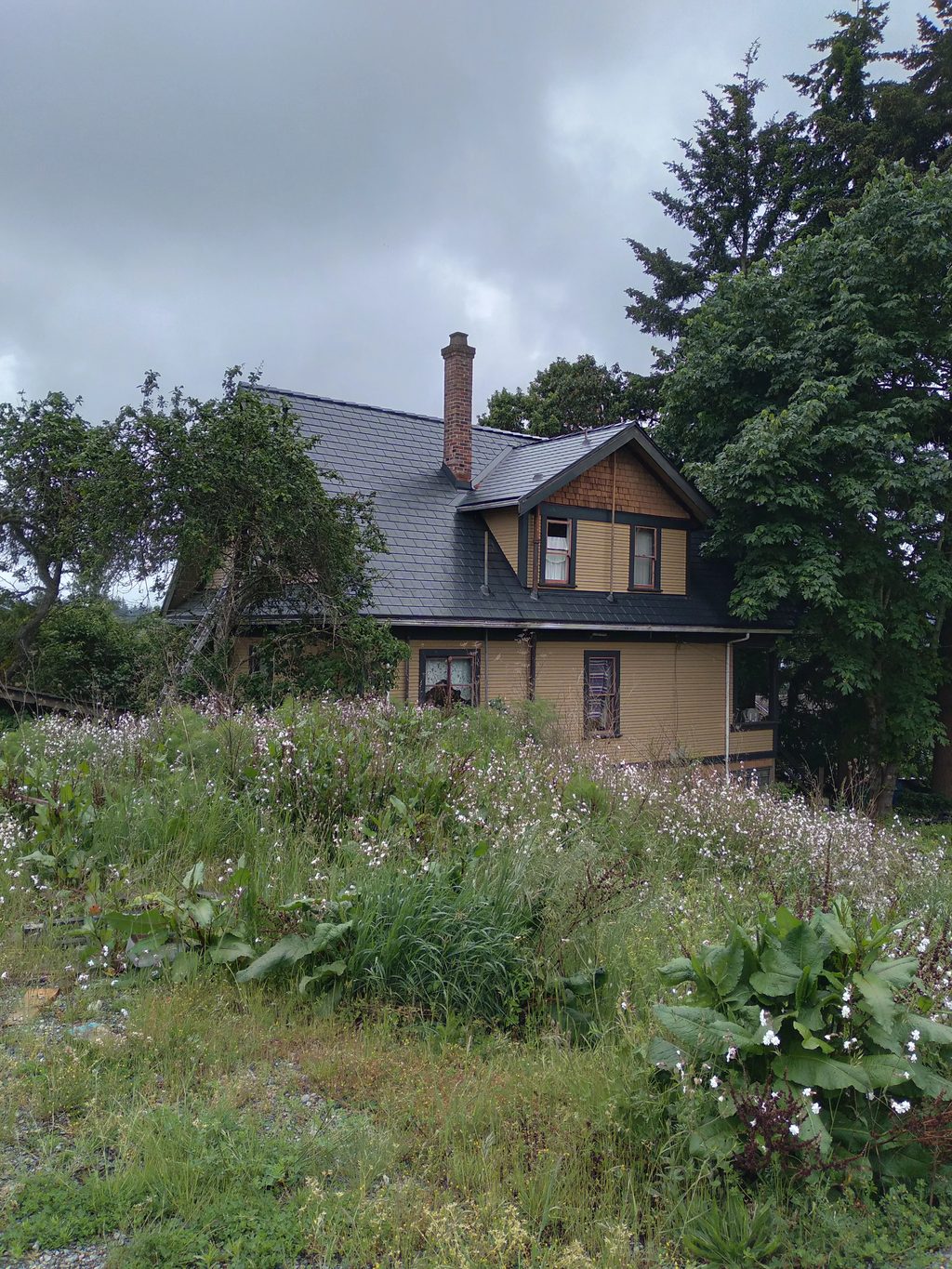 Black Interlock Slate aluminum roof on a tan two-storey home with dormers among tall pines, Nanaimo, British Columbia