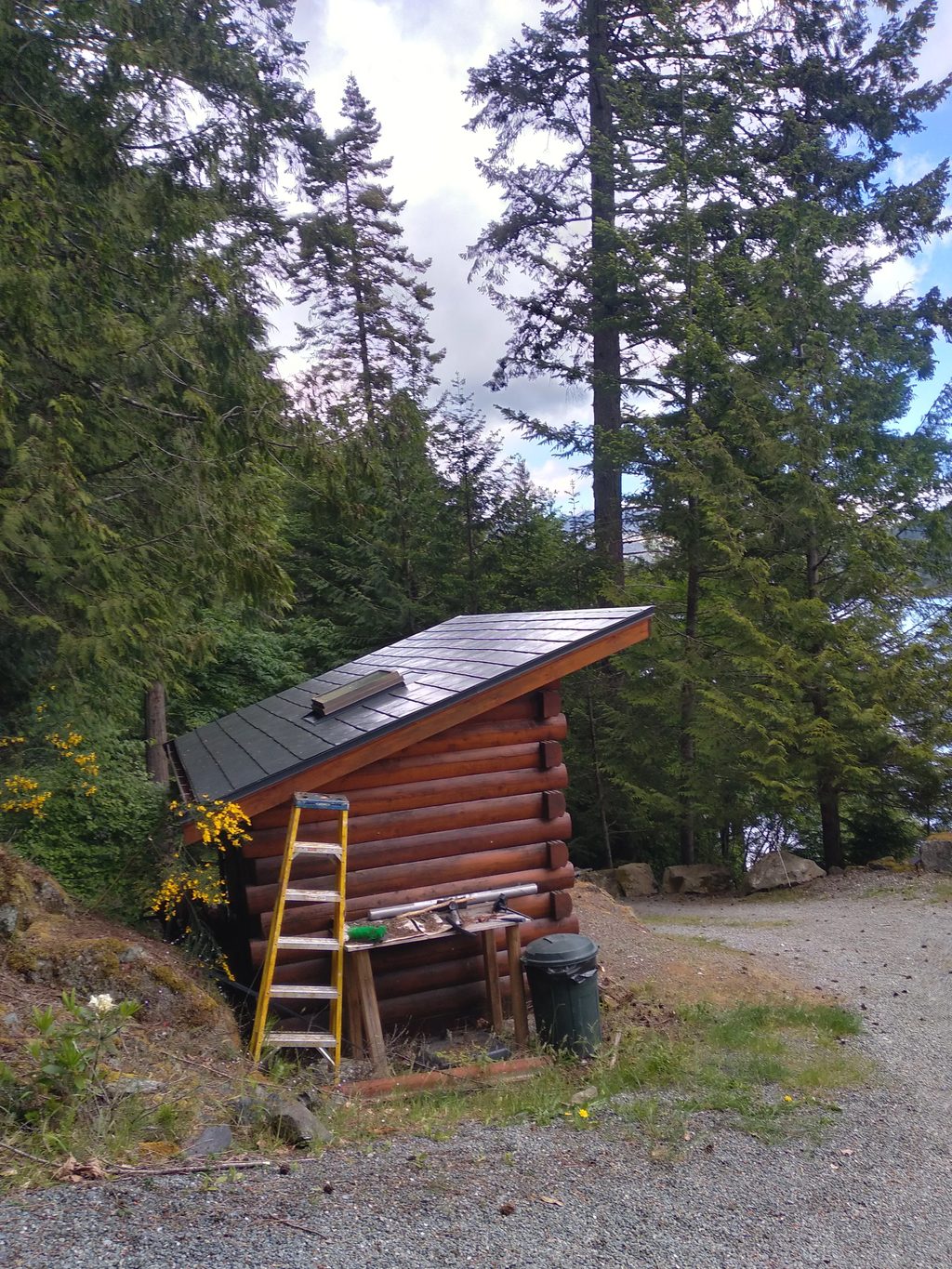 Deep Charcoal Interlock Slate aluminum roof on a brown log cabin with a metal roof among tall evergreens, Juan de Fuca, British Columbia