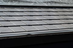 Taupe Interlock Slate aluminum roof on a taupe metal roof on a two-storey home among tall pines, Surrey, British Columbia