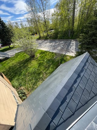A modern metal roof in a forested setting.