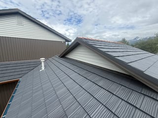 Modern metal roof in a forested rural setting with lush greenery and blue sky