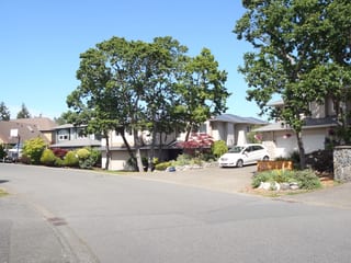 Deep Charcoal Interlock Slate aluminum roof on a beige two-storey home with a metal roof among tall pines, Victoria, British Columbia