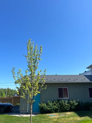 Ranch-style single-family home in Beaverton, ON with Interlock Hunter Green aluminum shingle metal roofing under a clear blue sky.