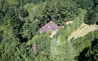 Colonial Brown Interlock Shake aluminum roof on a colonial brown metal roof on a two-storey home among tall, Gig Harbor, Washington