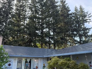 Black Interlock Standing Seam aluminum roof on a white single-storey ranch-style home among tall evergreens, Lakewood, Washington
