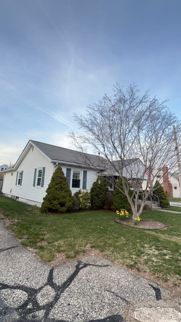 White ranch-style home in Pawtucket RI with Hunter Green Interlock aluminum shingle roof, green shutters, evergreen shrubs, and blooming daffodils.