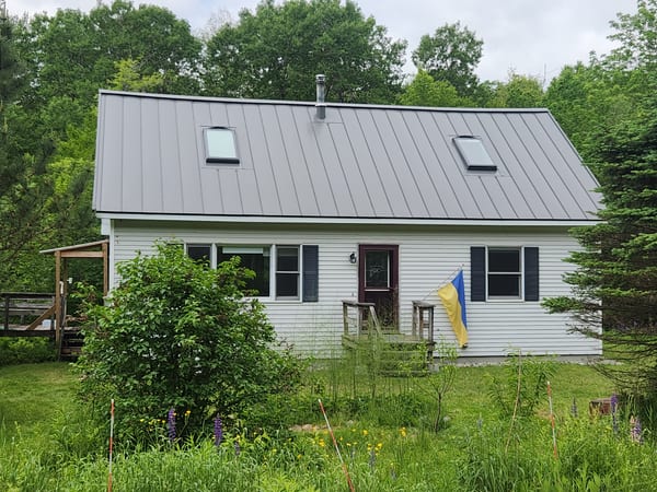 Cape Cod home with Interlock Musket Grey standing seam metal roof featuring two skylights and vent pipe, surrounded by lush forest in Jericho, VT.