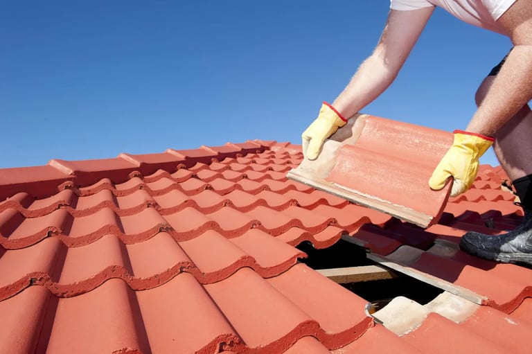 A clay tile roof showing cracked and slipped tiles and white efflorescence staining