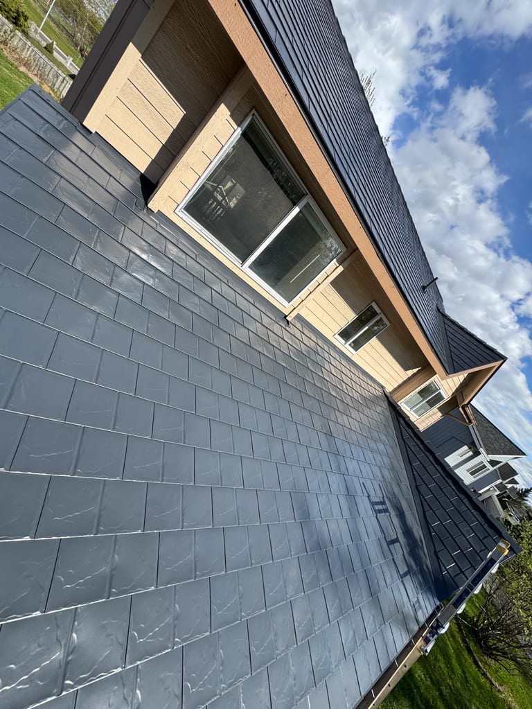 Modern metal roof in a rural setting