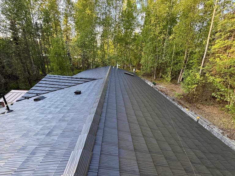 A modern metal roof in a forested setting, likely a single-family home, with a licence plate visible.