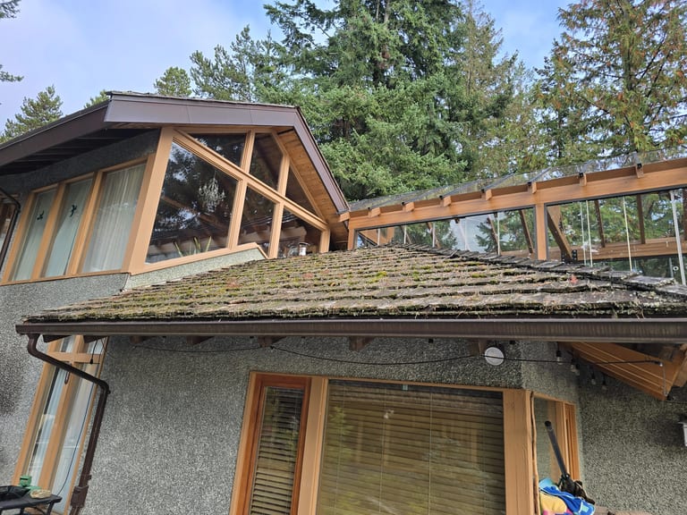 Close-up of the aging, moss-covered 30-year-old cedar shake roof on a West Vancouver, BC home before it was torn off and replaced.