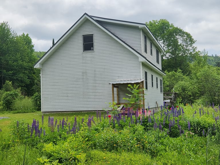 Side elevation of a two-story Vermont farmhouse with Musket Grey standing seam metal roof, surrounded by wild lupines and lush green forest.