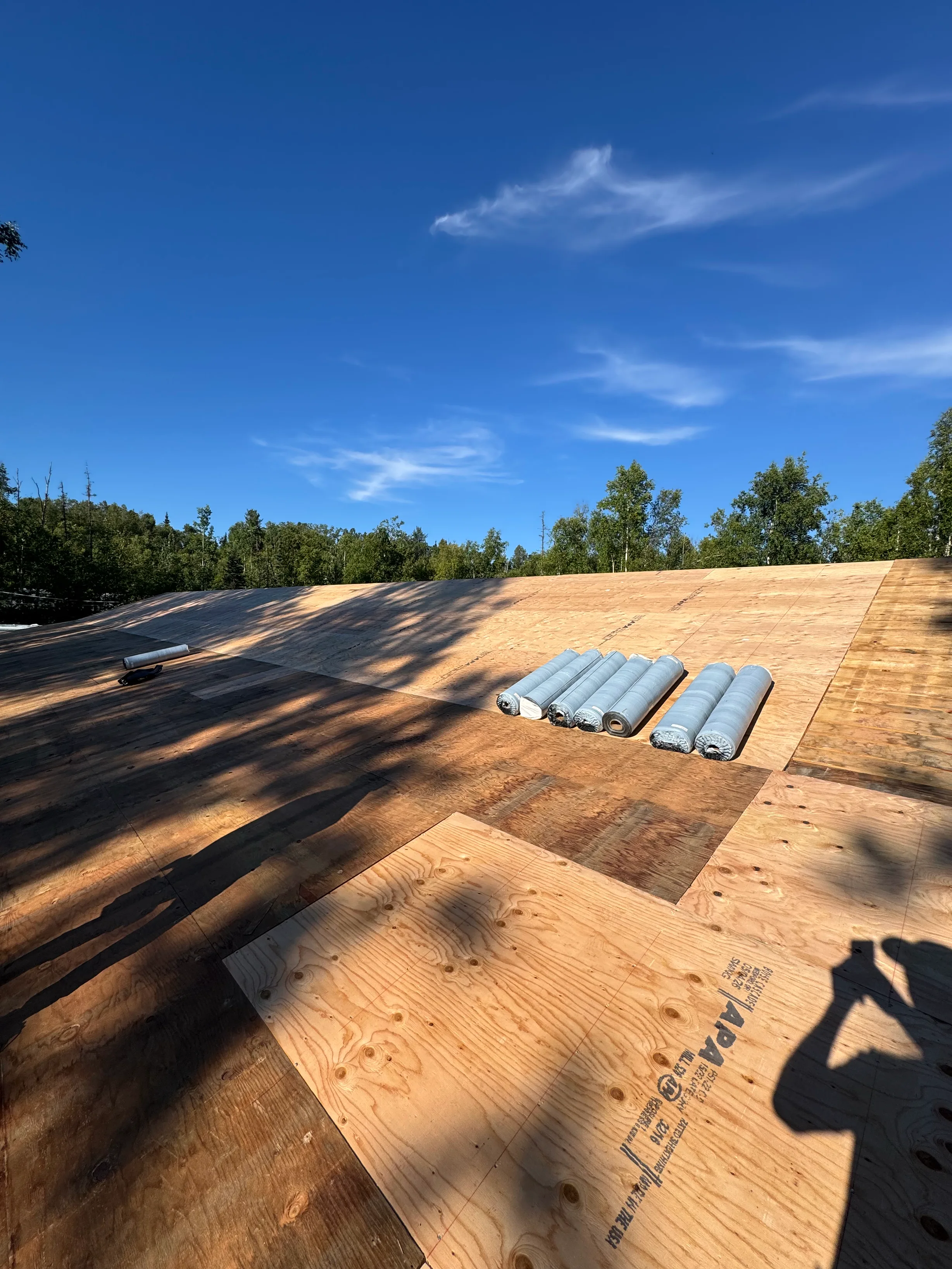 A roof under construction with underlayment installed, set against a backdrop of lush greenery and a clear blue sky.