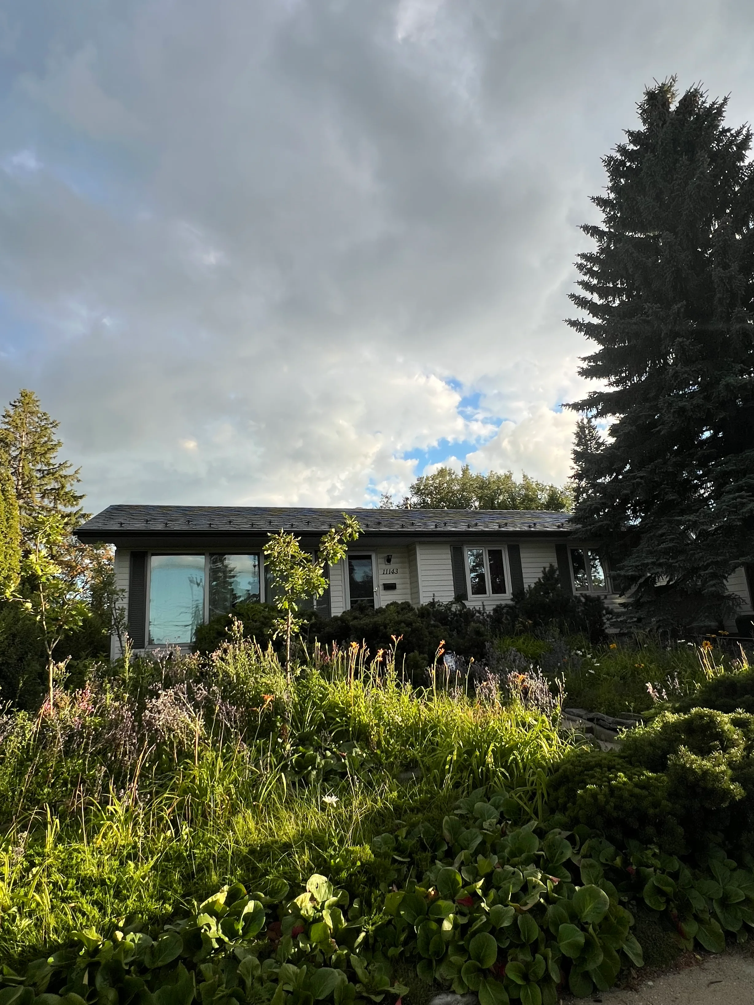 Charcoal Grey Interlock Slate aluminum roof on a white two-storey home with a metal roof among tall trees, Edmonton, Alberta