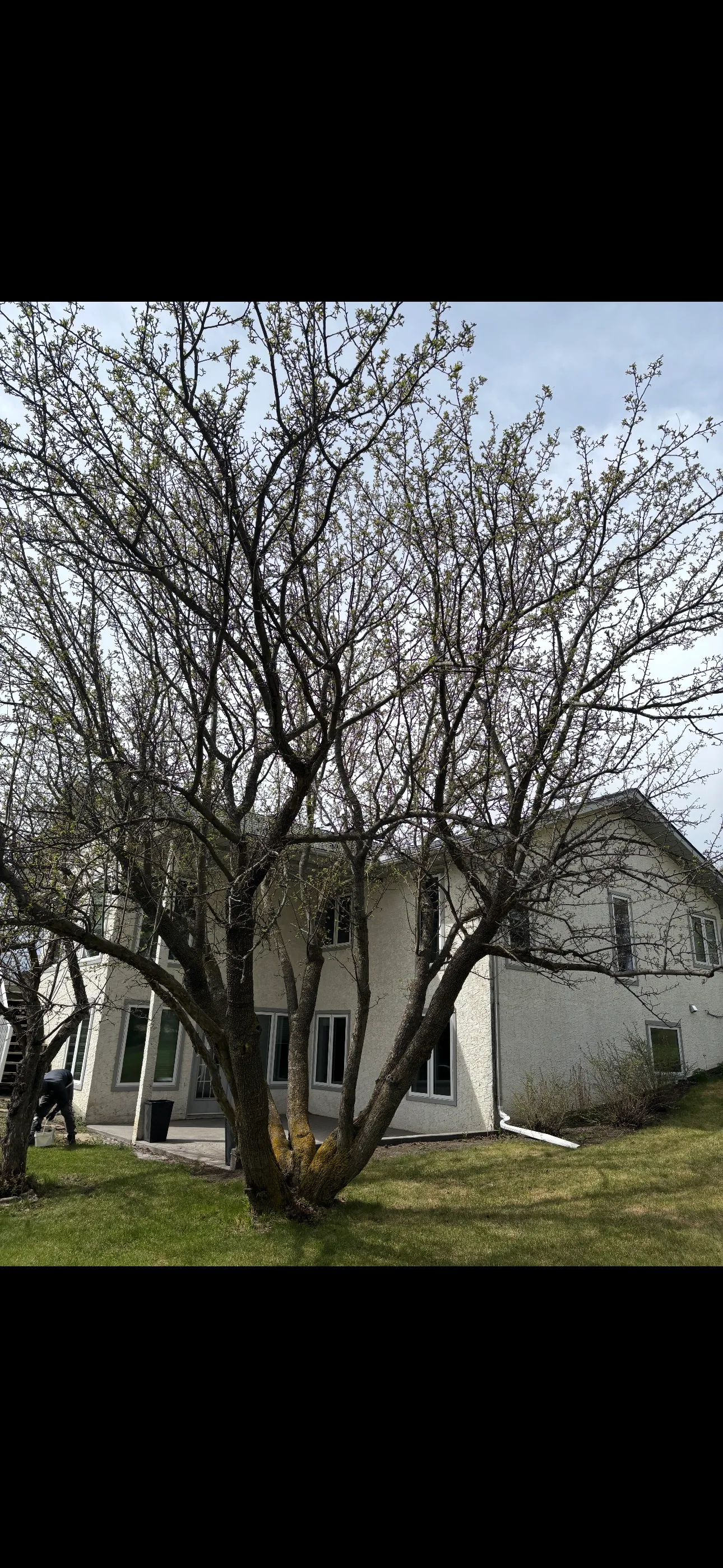 Deep Charcoal Interlock Slate aluminum roof on a white home with a metal roof in a grassy yard, Red Deer County, Alberta