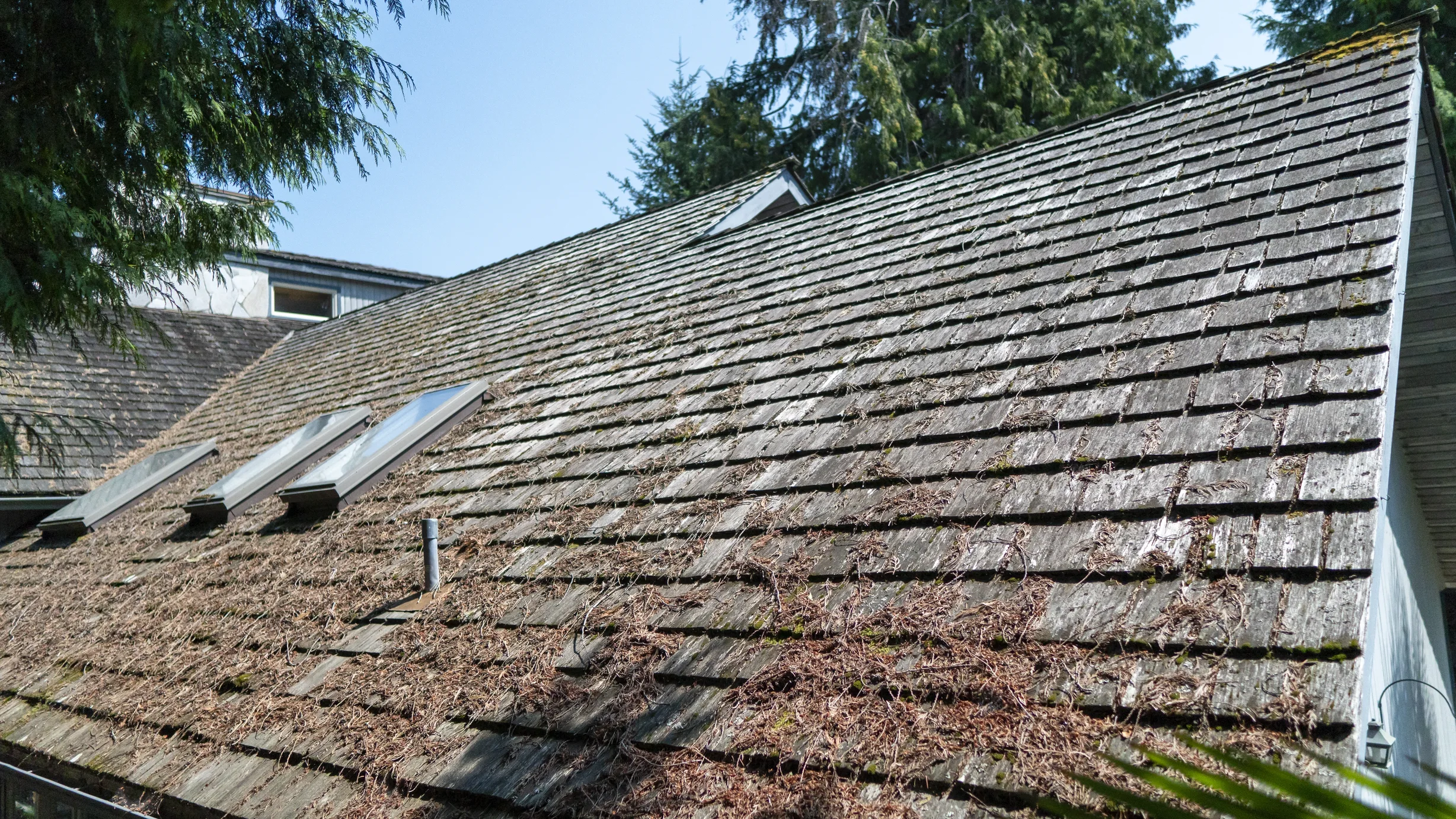 Deep Charcoal Interlock Slate aluminum roof on a grey home with dormers among evergreen trees in Sechelt, Sechelt, British Columbia