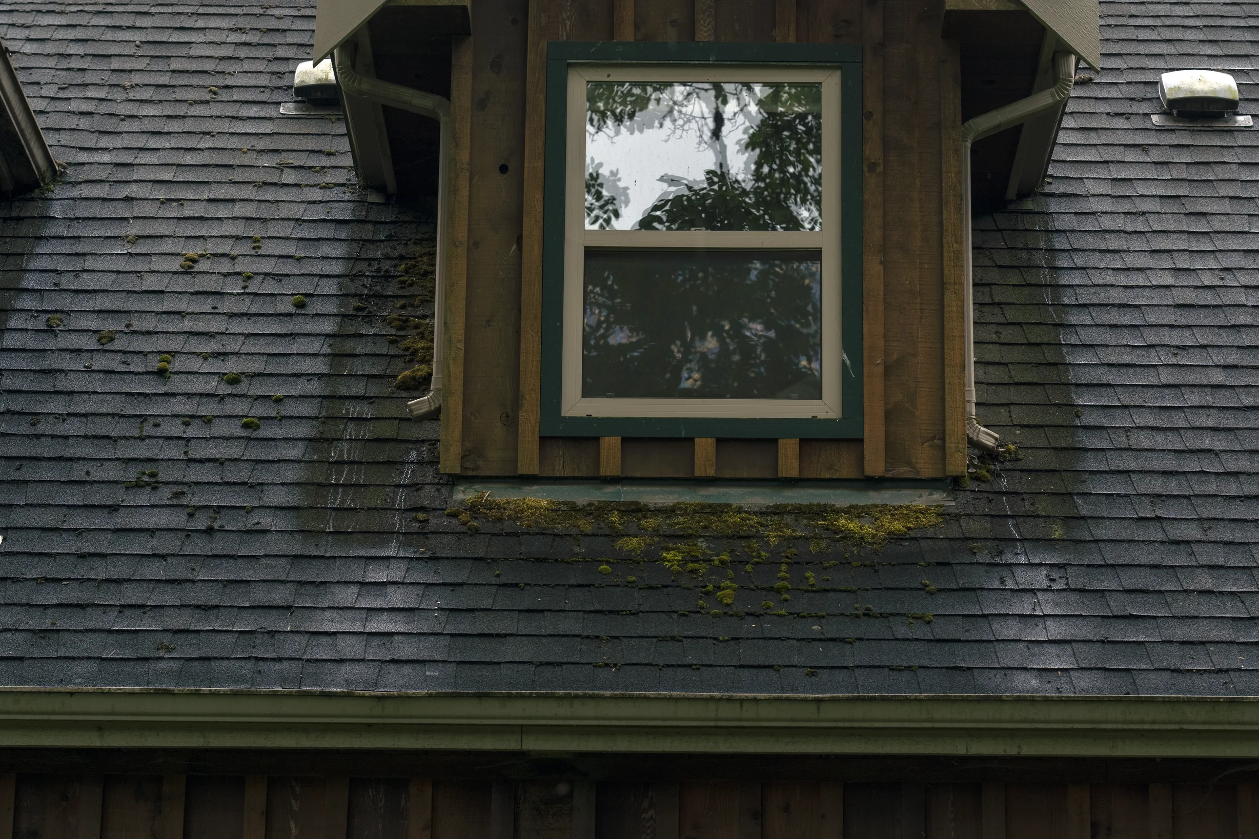Hunter Green Interlock Slate aluminum roof on a modern home with a metal roof in a forested rural setting, Langley, British Columbia