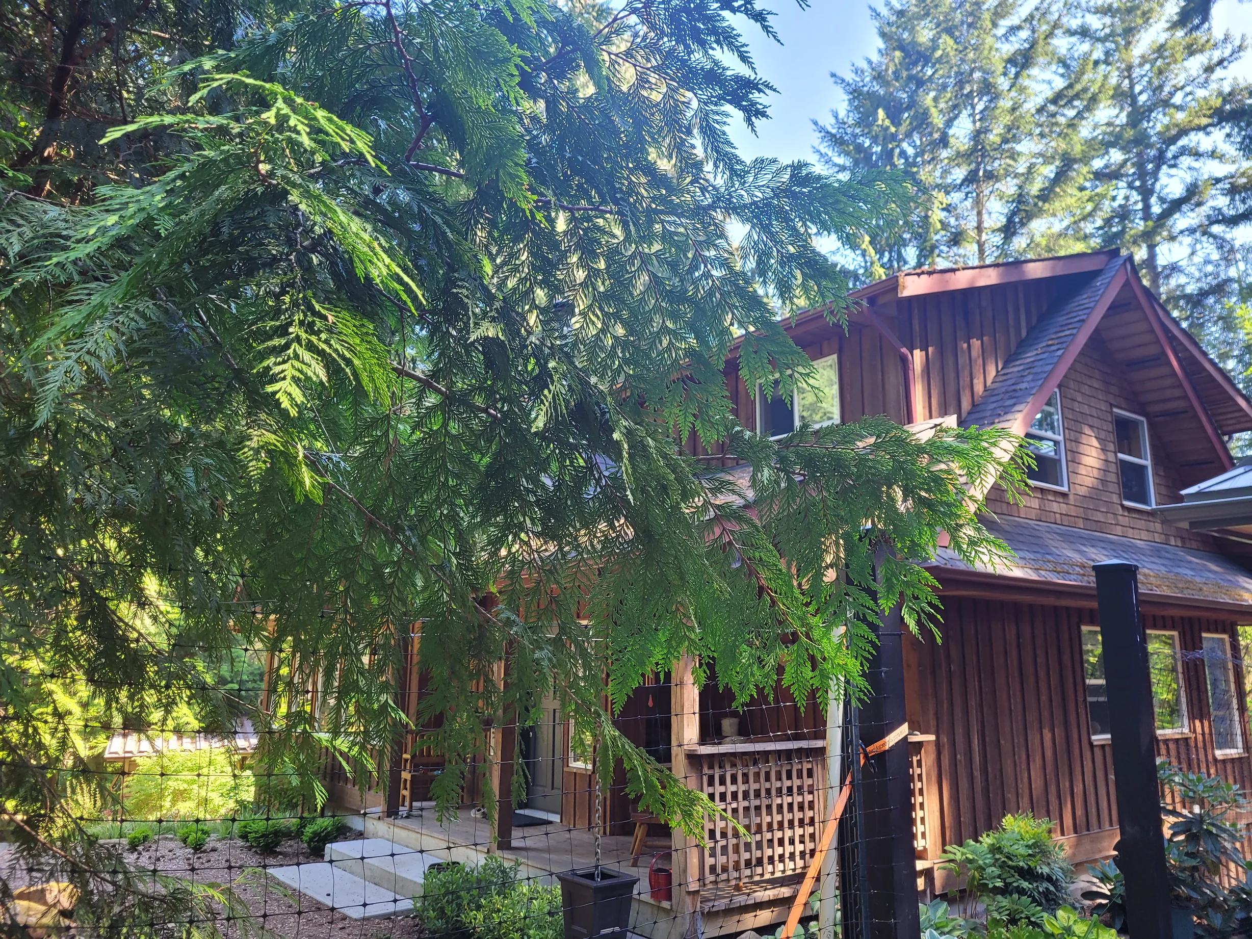 Before: a worn out asphalt shingle roof on the home, Gabriola Island, British Columbia, ahead of a Deep Charcoal Interlock Slate aluminum roof