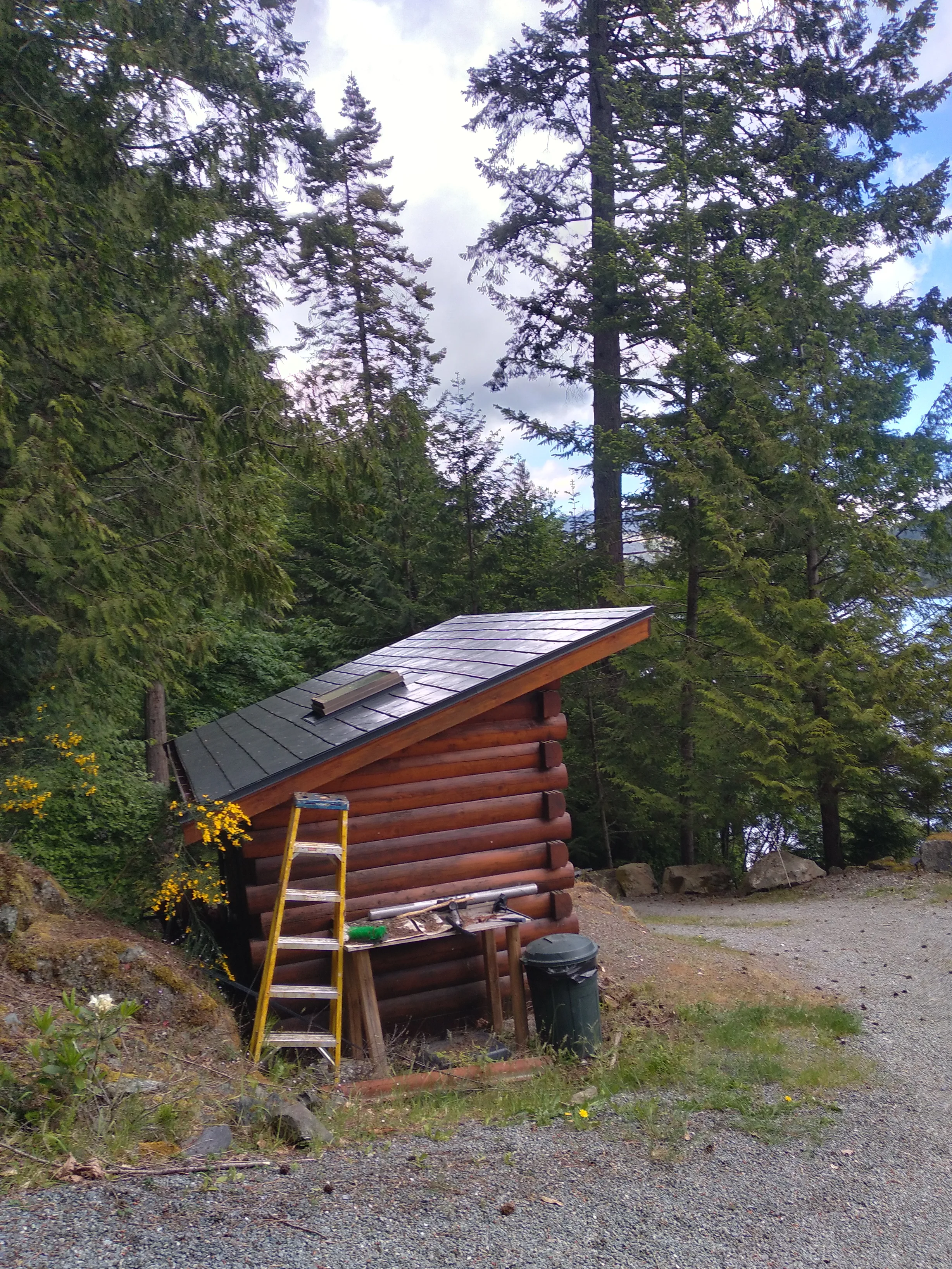 Deep Charcoal Interlock Slate aluminum roof on a brown log cabin with a metal roof among tall evergreens, Juan de Fuca, British Columbia