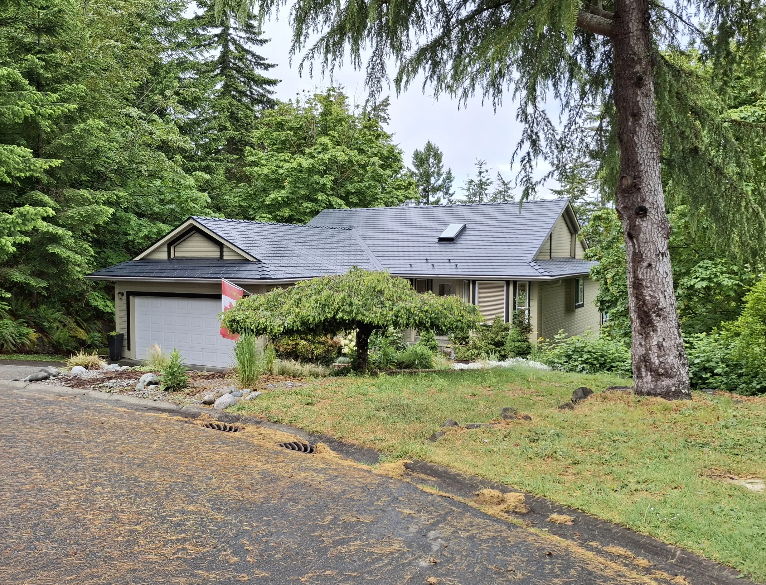 Black Interlock Slate aluminum roof on a tan one-storey home with dormers among tall evergreens, Duncan, British Columbia