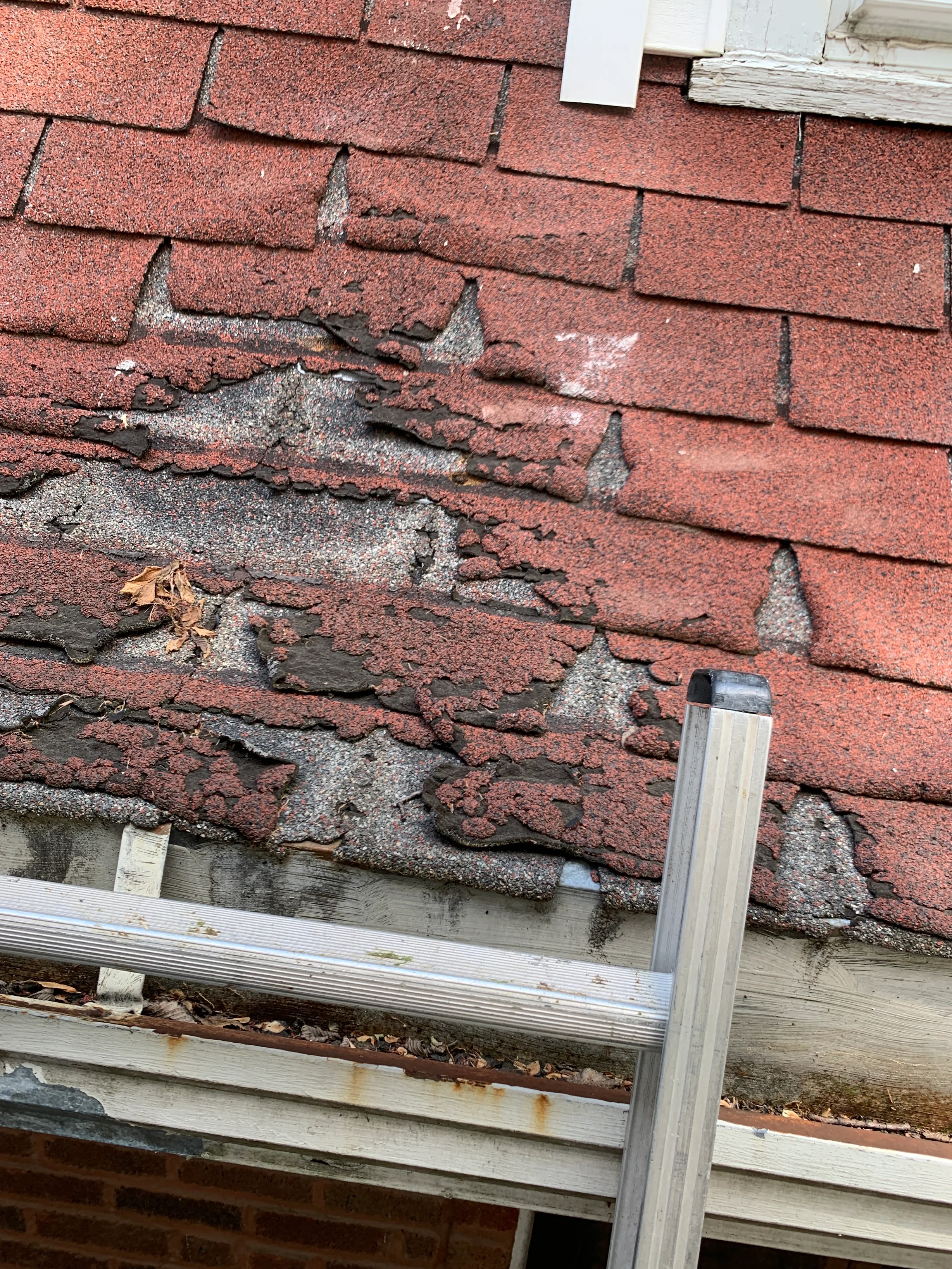 Before: a worn out asphalt shingle roof on the home, Oak Park, Illinois, ahead of a Black Interlock Slate aluminum roof
