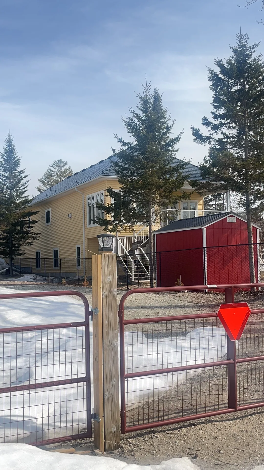 Deep Charcoal Interlock Cedar Shingle aluminum roof on a yellow two-storey home with dormers among tall pines, Wasaga Beach, Ontario