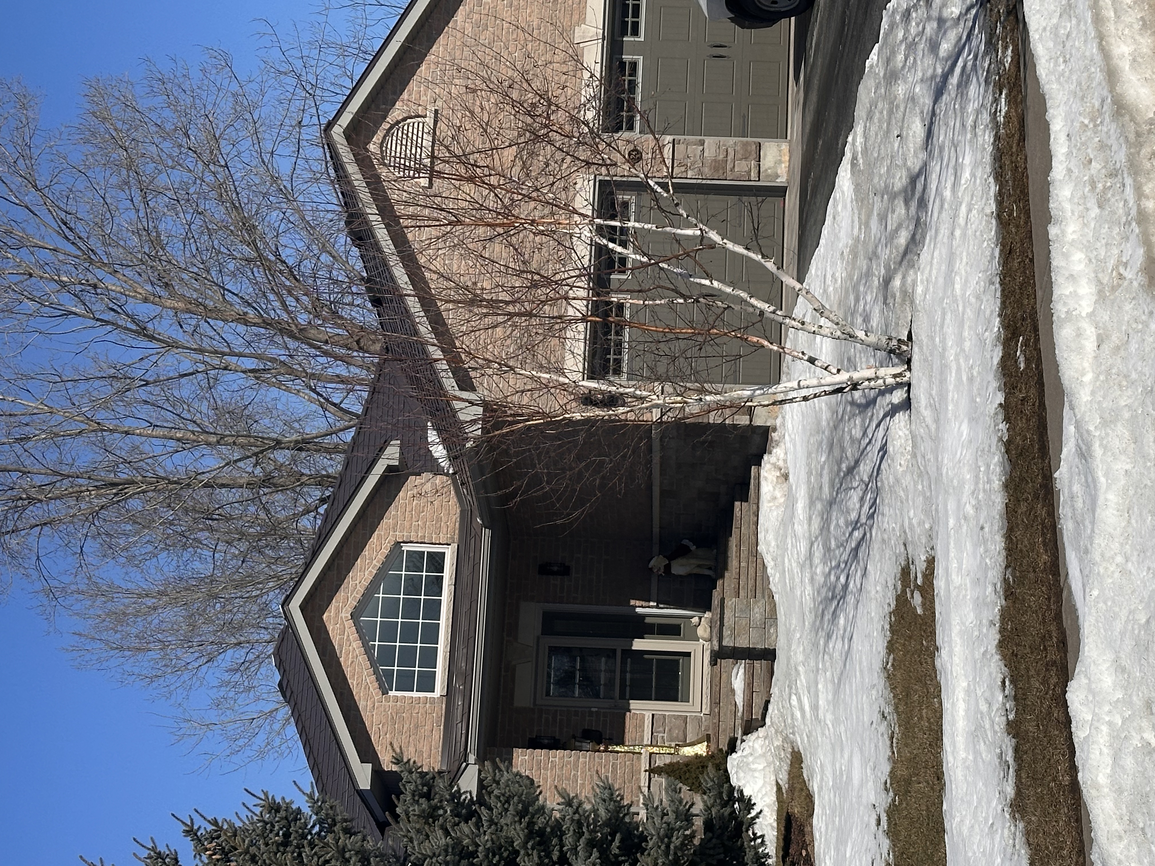 Interlock Aluminum Slate Metal Roofing – Tudor Brown | Picton, ON (Street view)