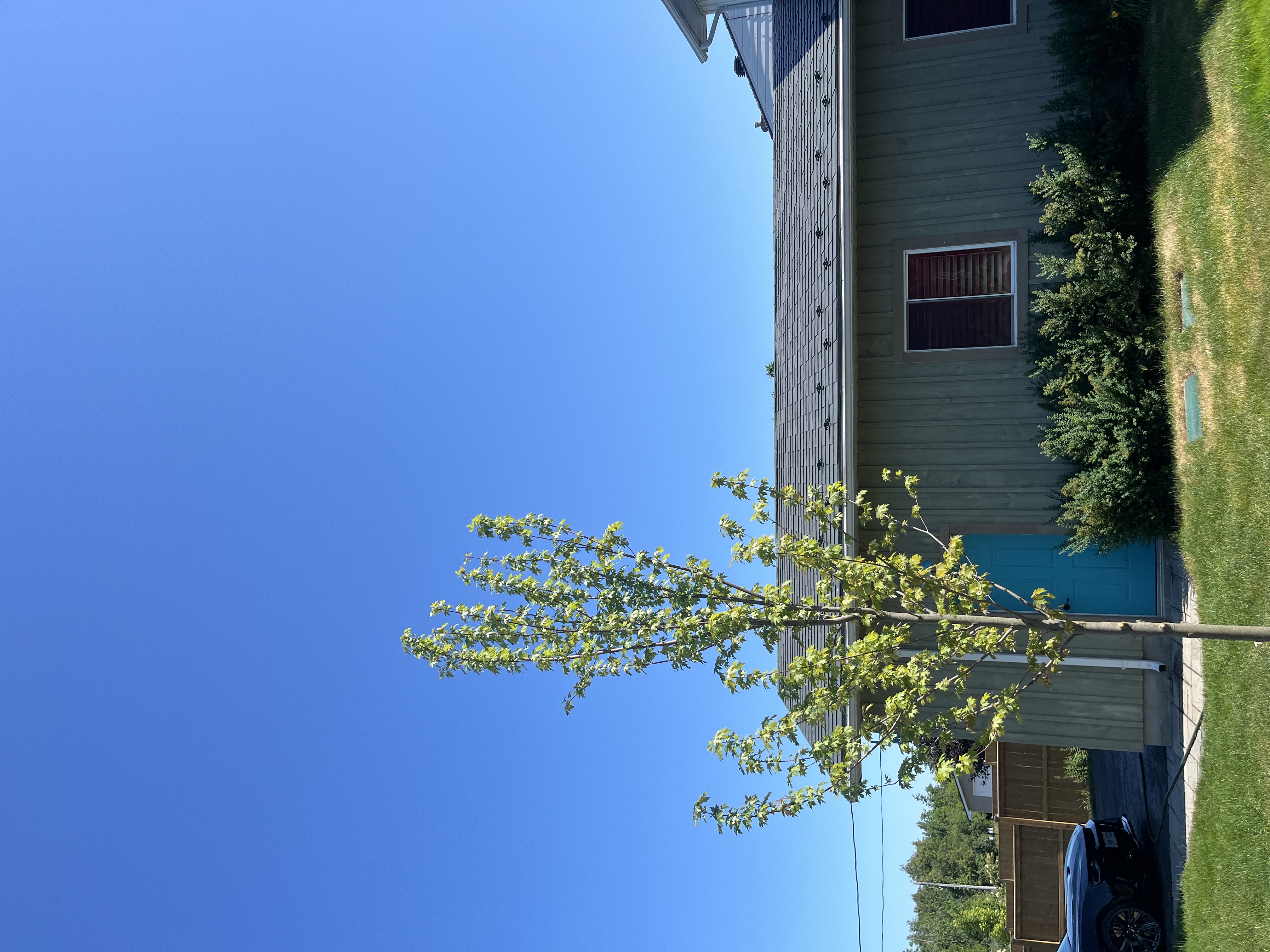 Ranch-style single-family home in Beaverton, ON with Interlock Hunter Green aluminum shingle metal roofing under a clear blue sky.