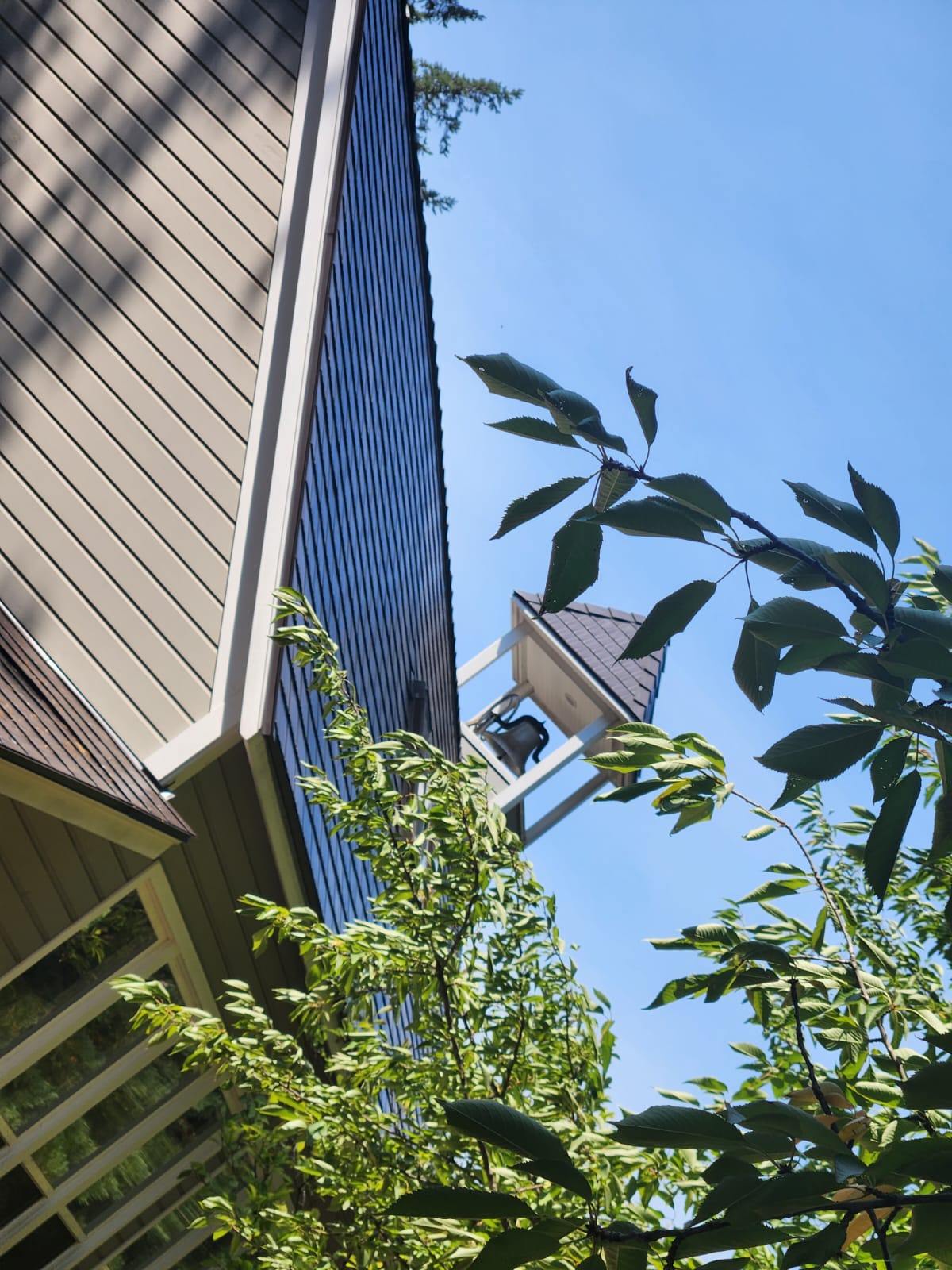 Upward-angle view of a Tudor Brown Interlock cedar shingle metal roof on a multi-gable craftsman home, partially obscured by lush green trees.