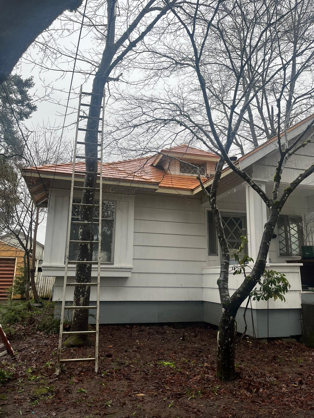 Craftsman home with Interlock copper penny aluminum slate roof, dormer window, and white lap siding photographed from rear elevation among bare trees.