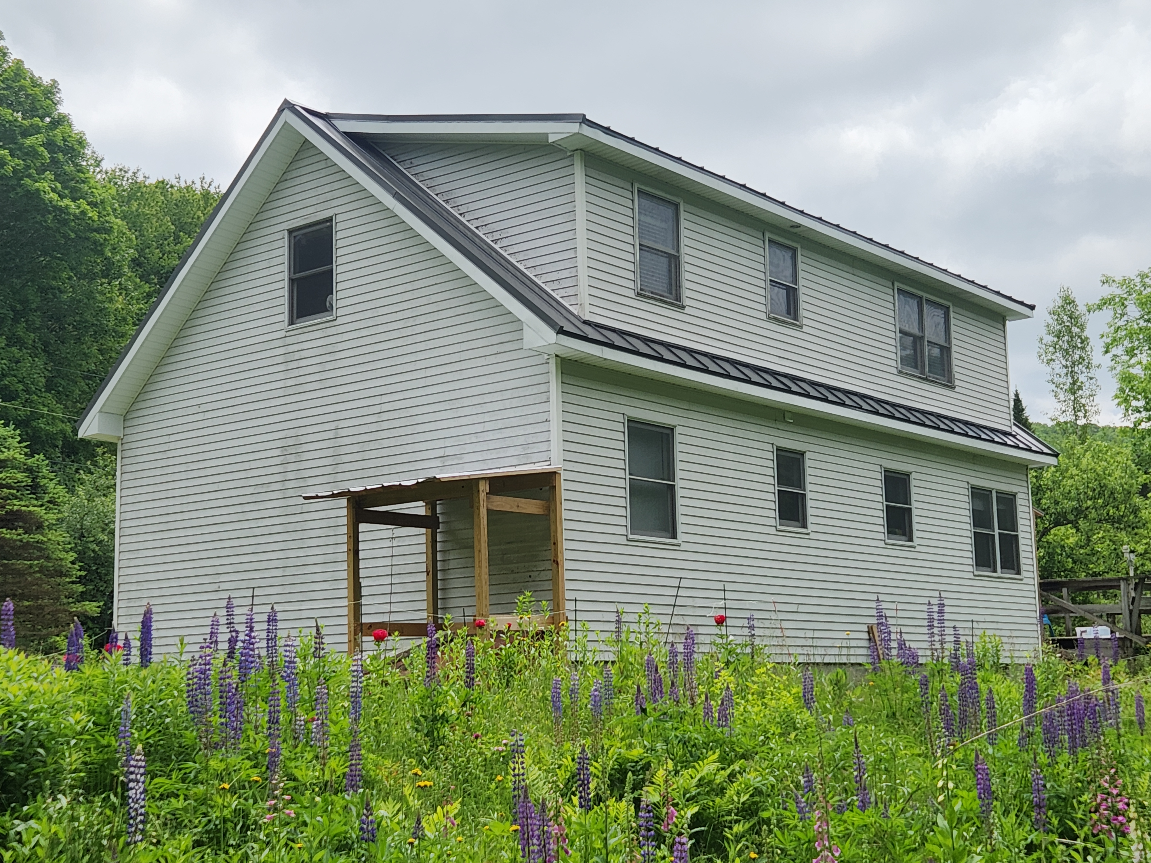Two-story farmhouse with Musket Grey standing seam metal roof, rear-left elevation, surrounded by blooming lupines in rural Vermont.