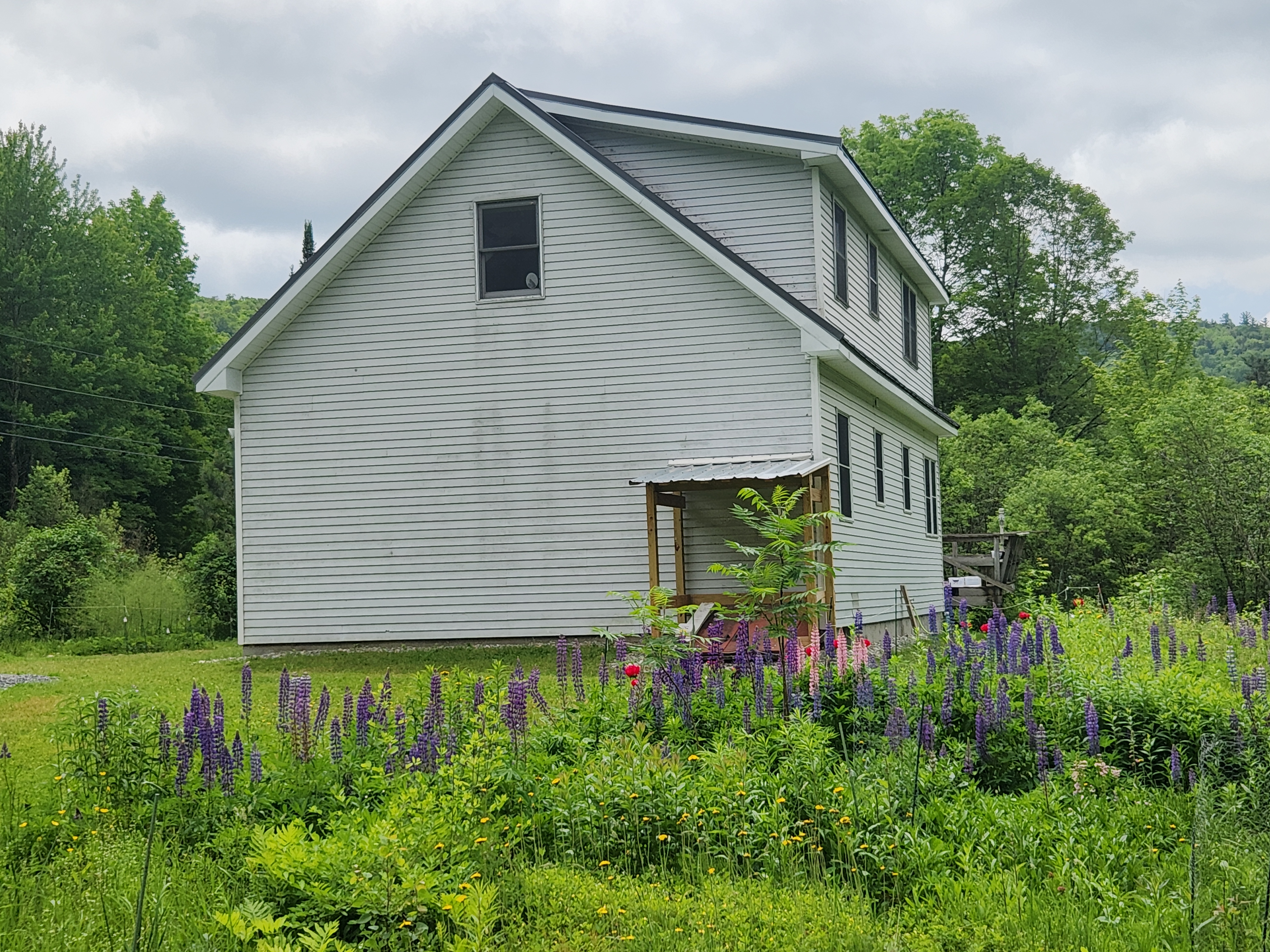 Side elevation of a two-story Vermont farmhouse with Musket Grey standing seam metal roof, surrounded by wild lupines and lush green forest.