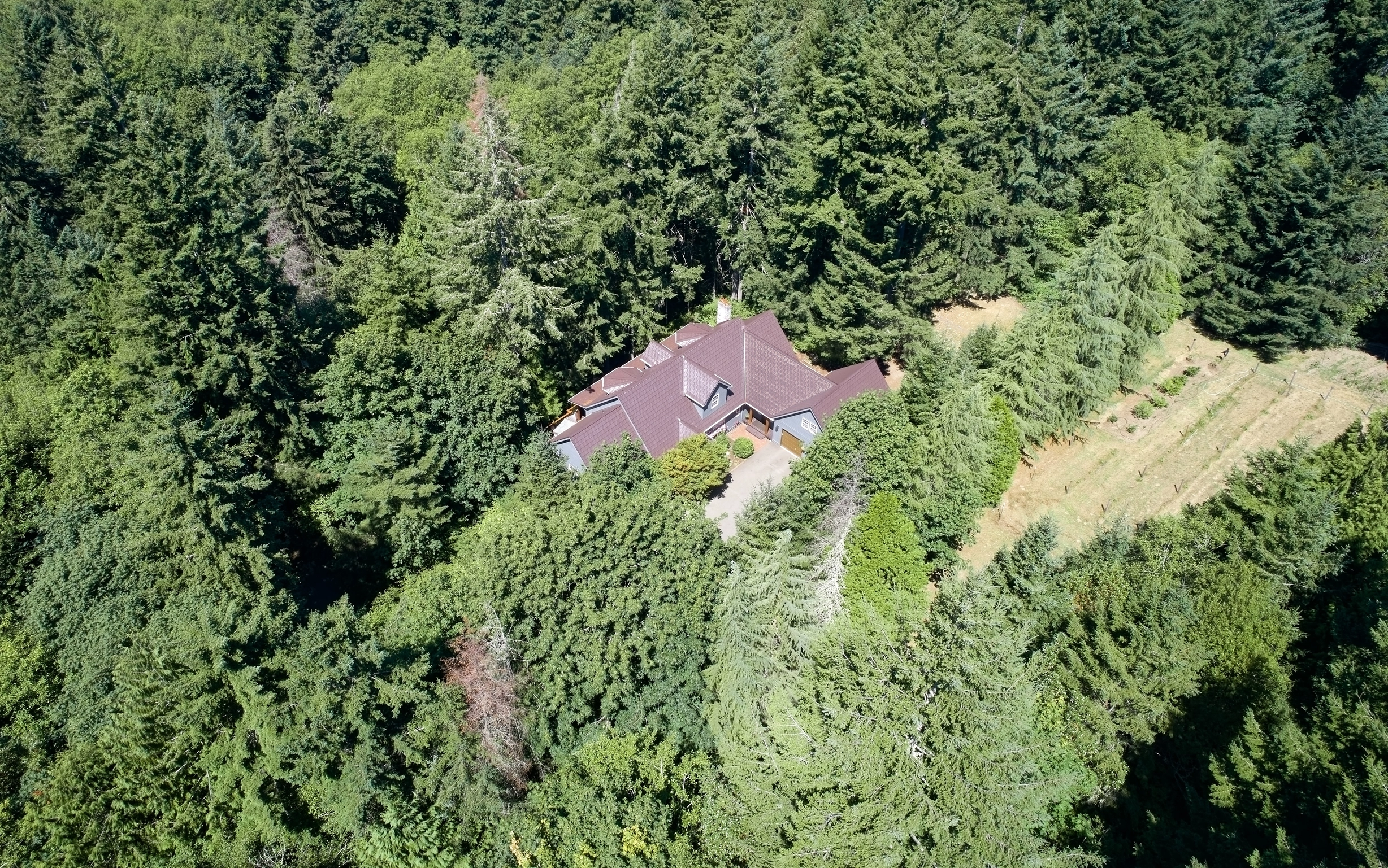 Colonial Brown Interlock Shake aluminum roof on a colonial brown metal roof on a two-storey home among tall, Gig Harbor, Washington