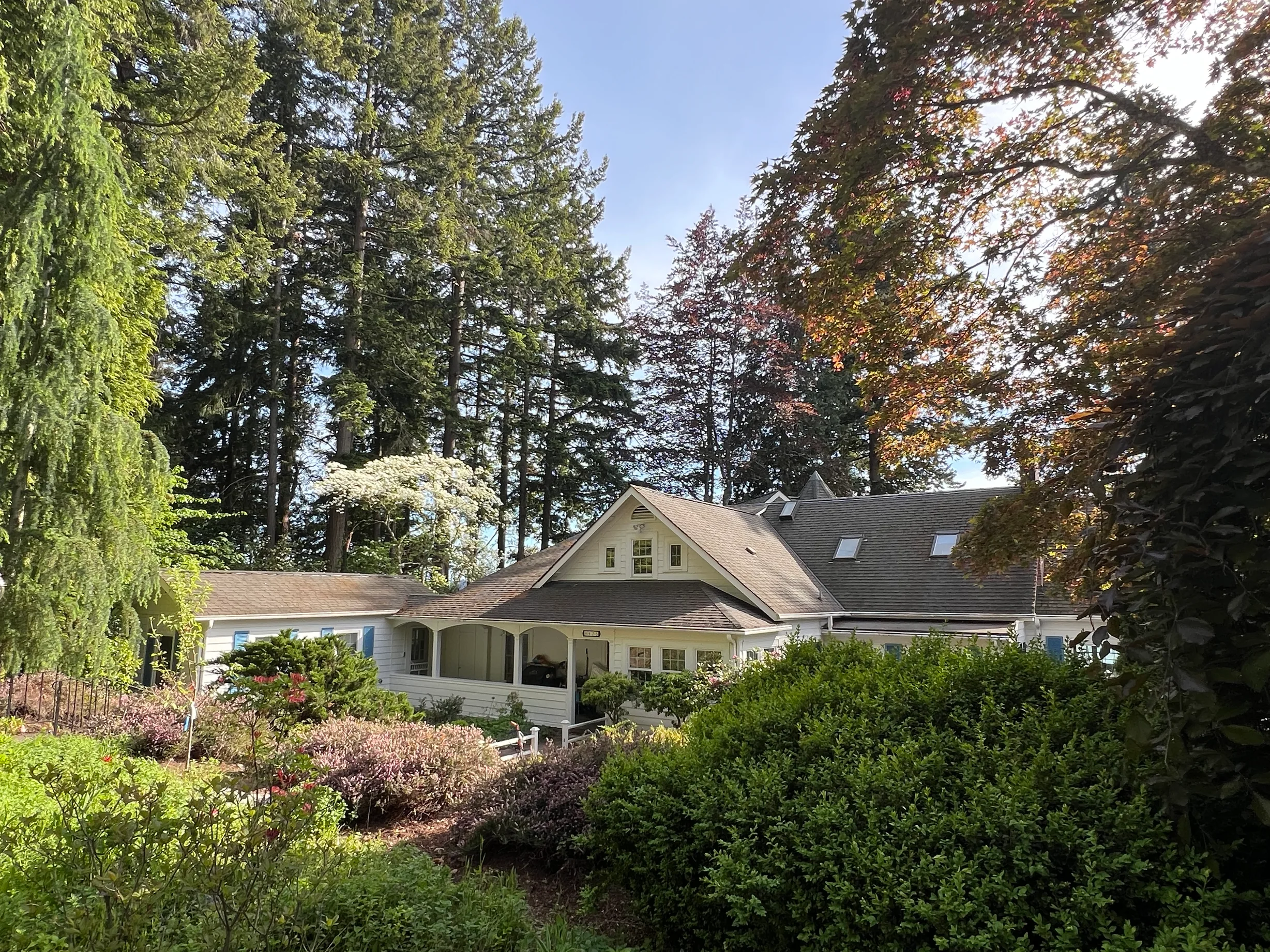 Before: a mossy asphalt shingle roof on the home, Bremerton, Washington, ahead of a Copper Penny Interlock Shake aluminum roof