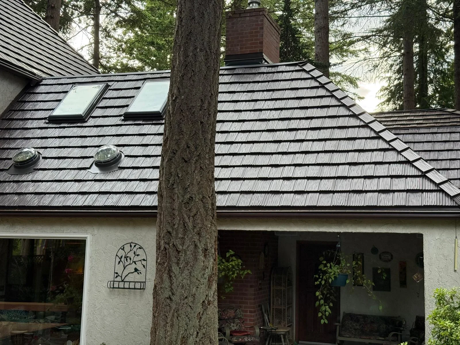 Colonial Brown Interlock Shake aluminum roof on a colonial brown metal roof on a white house among tall, Bellingham, Washington